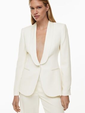 Aritzia Ten Intrigue Blazer
